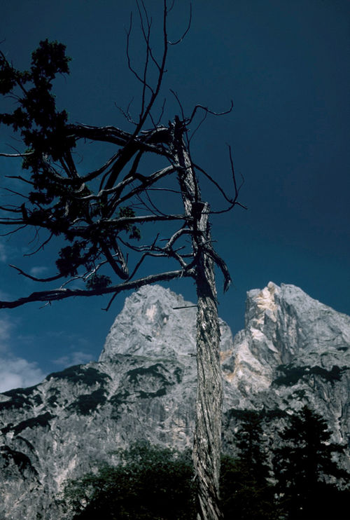 Die Sog Ramsauer Dolomiten