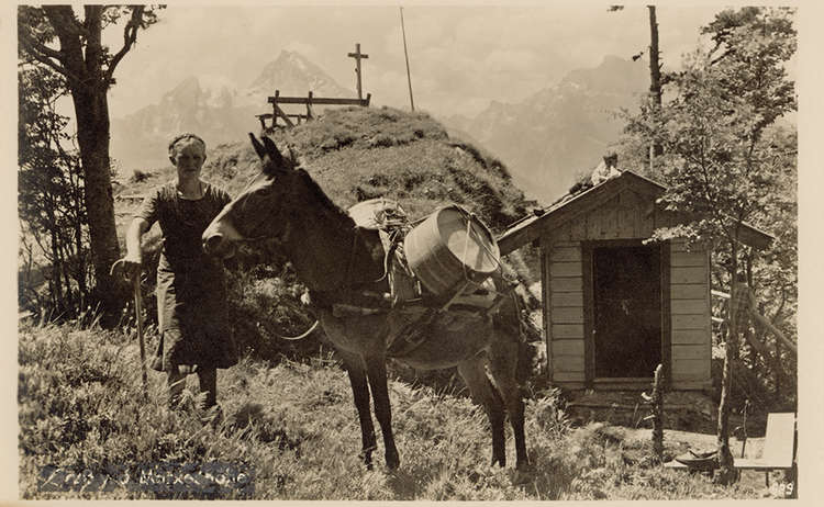 Gruß von der Kneifelspitze vom Kneifel Lenei und ihrem Muli um 1930